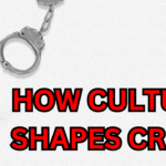 How Culture Shapes Crime